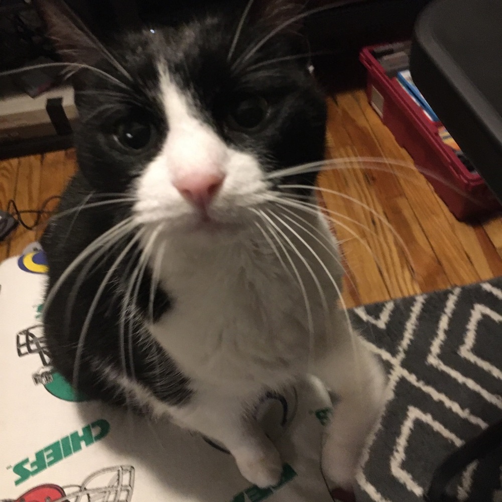 Meet your Posher, Matthew